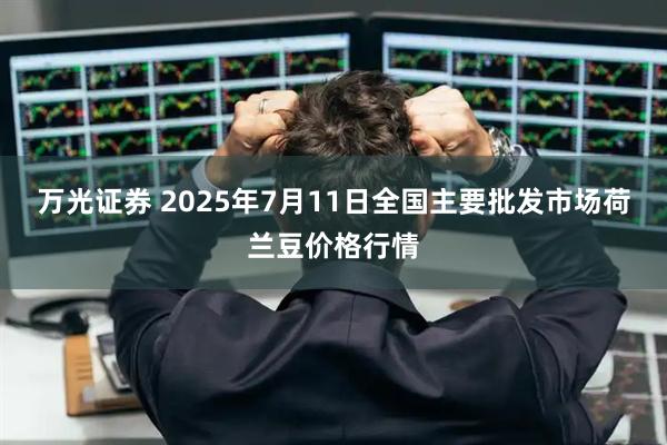万光证券 2025年7月11日全国主要批发市场荷兰豆价格行情