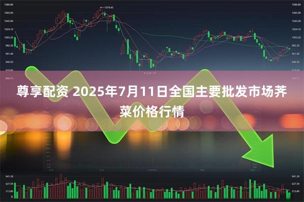 尊享配资 2025年7月11日全国主要批发市场荠菜价格行情