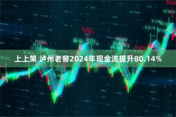 上上策 泸州老窖2024年现金流提升80.14%